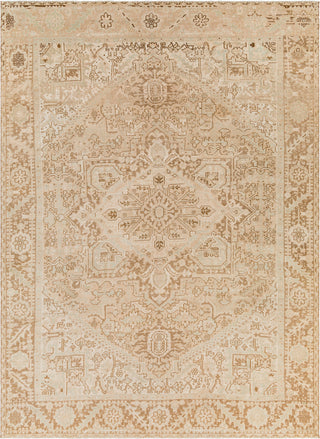 Surya Antique One of a Kind AOOAK-1196 Area Rug main image