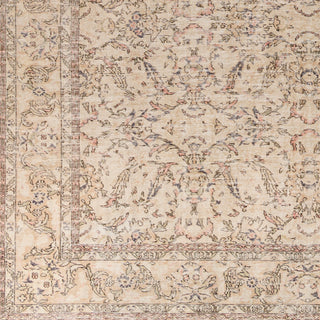 Surya Antique One Of A Kind AOOAK-1201 Area Rug main image