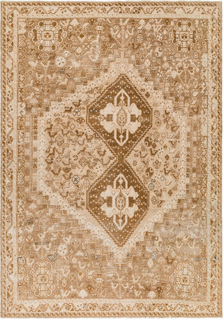 Surya Antique One of a Kind AOOAK-1218 Area Rug main image