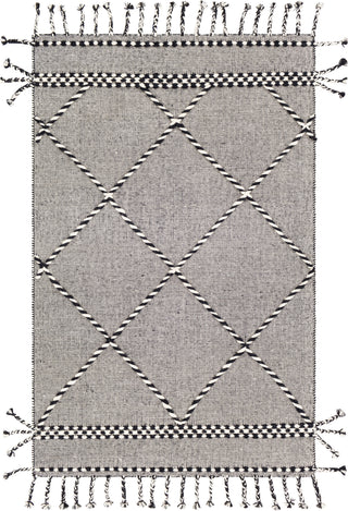 Surya Apache APA-2306 Area Rug