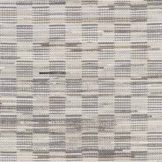 Surya Apis API-4001 Medium Gray Area Rug Sample Swatch