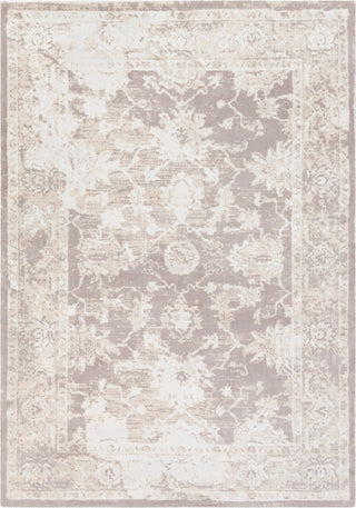 Surya Apricity APY-1003 Area Rug Main Image 5 X 7