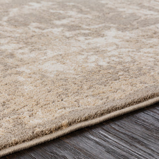 Surya Apricity APY-1003 Area Rug Detail