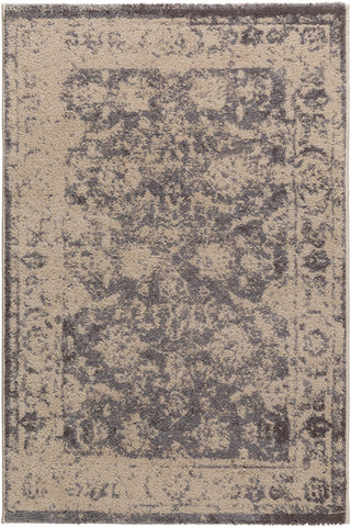 Surya Apricity APY-1005 Neutral/Grey Area Rug main image