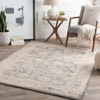 Surya Apricity APY-1005 Area Rug Room Scene Feature