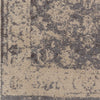 Surya Apricity APY-1005 Neutral/Grey Area Rug Closeup