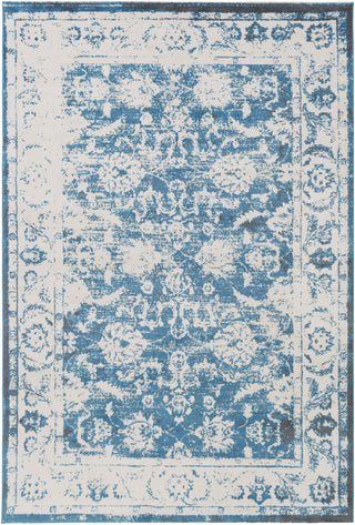 Surya Apricity APY-1006 Area Rug main image