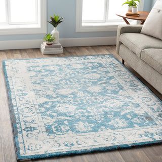 Surya Apricity APY-1006 Area Rug Room Scene Feature