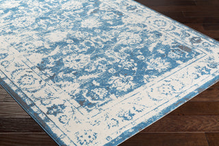 Surya Apricity APY-1006 Area Rug Closeup