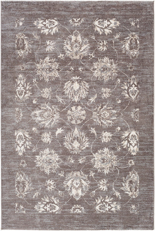 Surya Apricity APY-1011 Neutral/Grey Area Rug main image