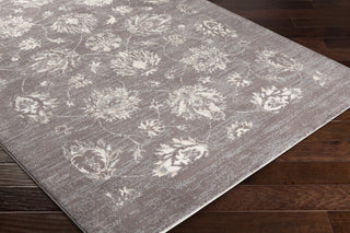 Surya Apricity APY-1011 Neutral/Grey Area Rug Closeup