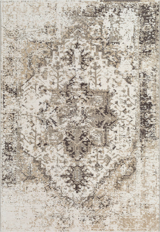 Surya Apricity APY-1012 Area Rug Main Image 5 X 7