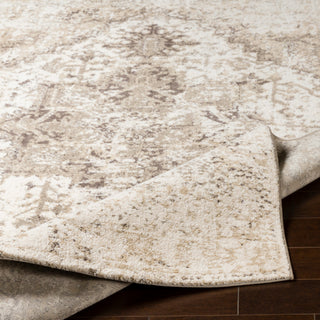 Surya Apricity APY-1012 Area Rug 