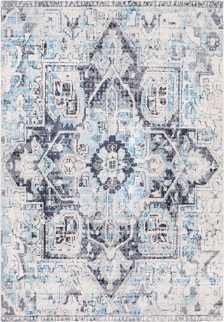 Surya Apricity APY-1014 Sky Blue Pale White Medium Gray Light Cream Area Rug main image