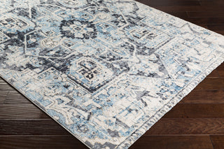 Surya Apricity APY-1014 Sky Blue Pale White Medium Gray Light Cream Area Rug Corner Image