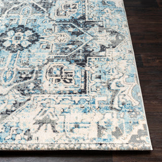 Surya Apricity APY-1014 Area Rug 