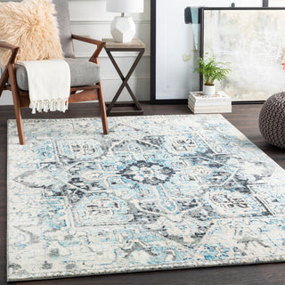 Surya Apricity APY-1014 Area Rug Room Scene Feature