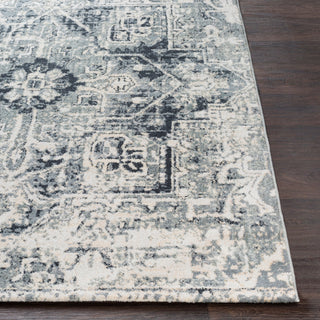 Surya Apricity APY-1015 Area Rug 