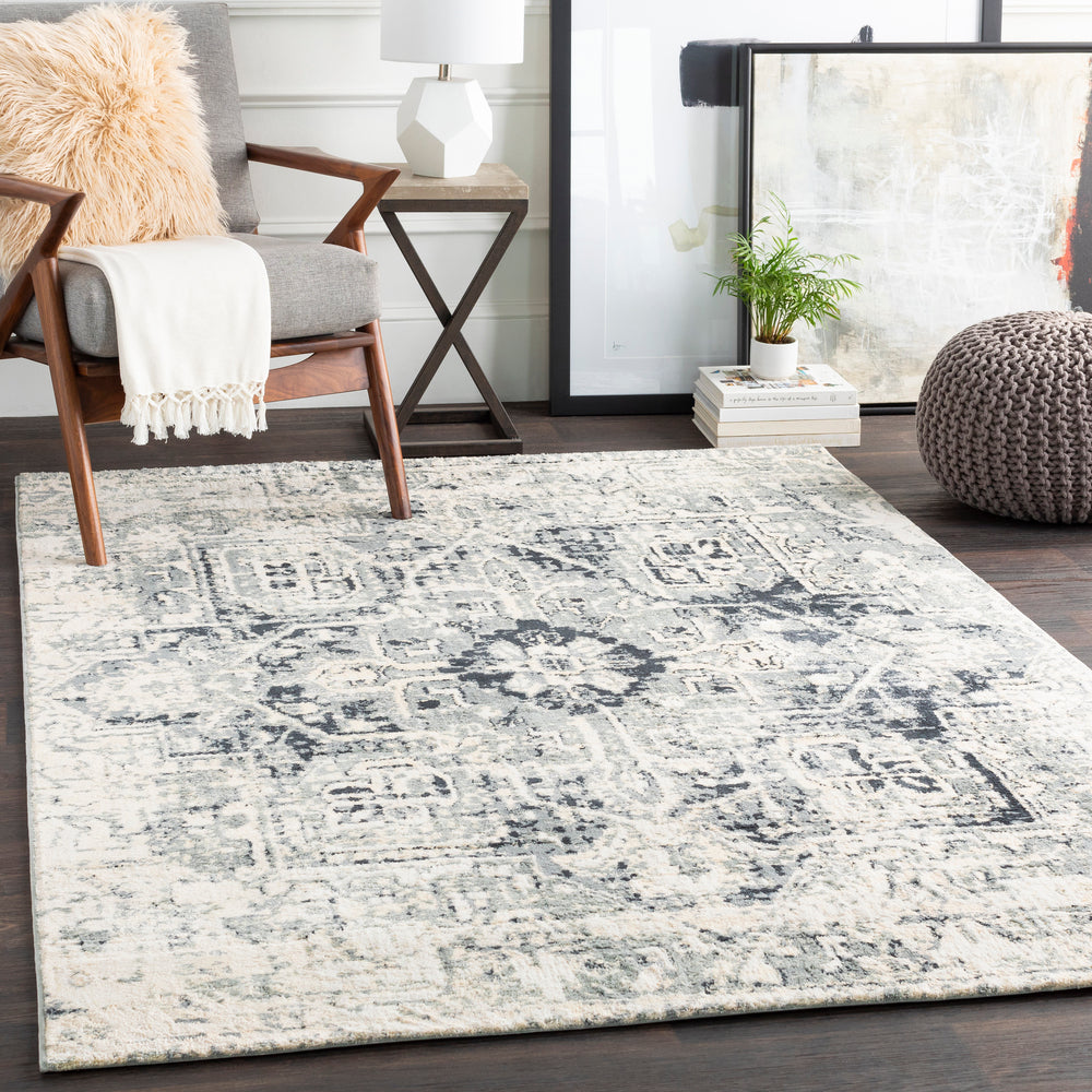 Surya Apricity APY-1015 Area Rug Room Scene Feature