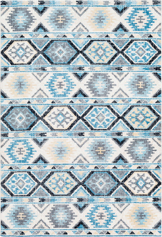 Surya Apricity APY-1017 Sky Blue Pale Medium Gray Light Butter Cream White Area Rug Mirror main image