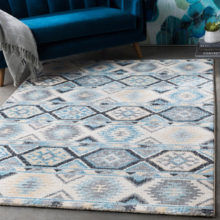 Surya Apricity APY-1017 Area Rug Room Scene Feature