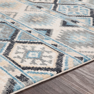 Surya Apricity APY-1017 Area Rug Detail