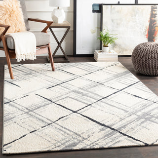 Surya Apricity APY-1021 Area Rug Room Scene Feature