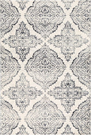 Surya Apricity APY-1022 Area Rug main image