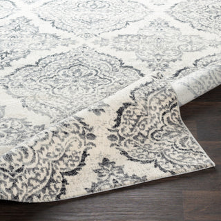 Surya Apricity APY-1022 Area Rug 