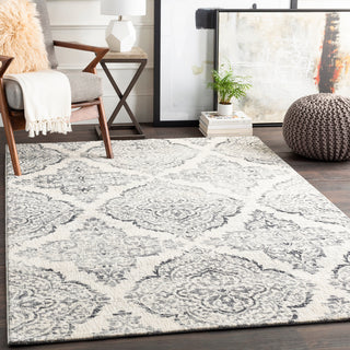 Surya Apricity APY-1022 Area Rug Room Scene Feature