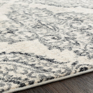 Surya Apricity APY-1022 Area Rug Detail