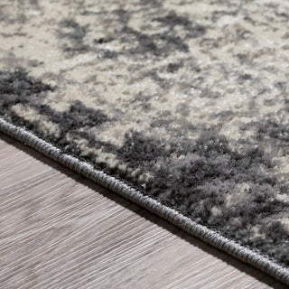 Dalyn Antiquity AQ1330 Grey Area Rug