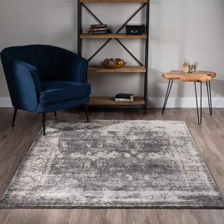 Dalyn Antiquity AQ1330 Grey Area Rug