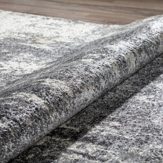 Dalyn Antiquity AQ1330 Grey Area Rug