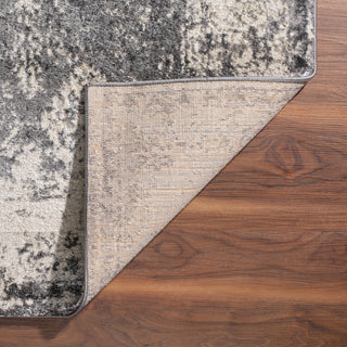 Dalyn Antiquity AQ1330 Grey Area Rug