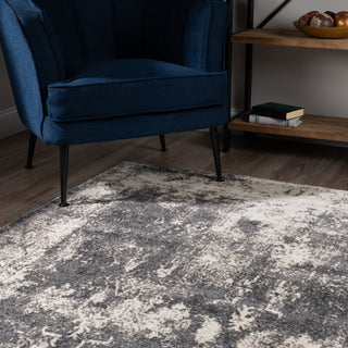 Dalyn Antiquity AQ1330 Grey Area Rug