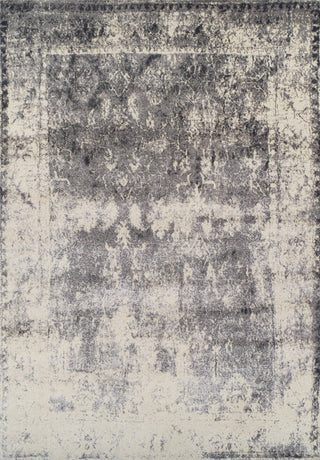 Dalyn Antiquity AQ1330 Grey Area Rug main image