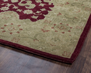 Rizzy Aquarius AQ8659 Burgundy Area Rug Corner Shot