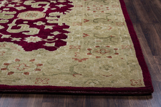 Rizzy Aquarius AQ8659 Burgundy Area Rug Edge Shot Feature