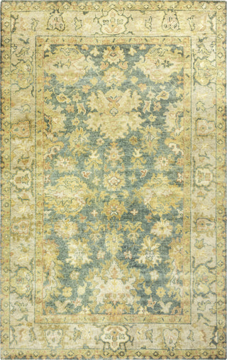 Rizzy Aquarius AQ8847 Area Rug 