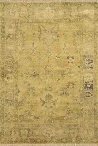 Rizzy Aquarius AQ8850 Beige / Dark Area Rug