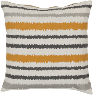 Surya Ikat Stripe Vertical Stripes AR-103 Pillow 18 X 18 X 4 Poly filled