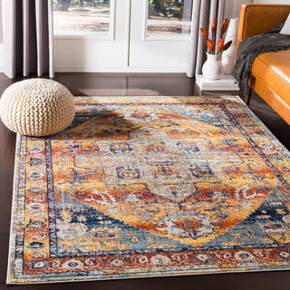 Surya Ararat ARA-2304 Area Rug Room Scene Feature