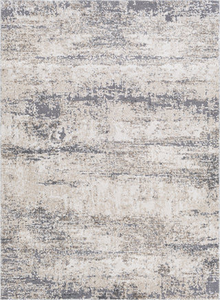 Livabliss Andorra ARD-2300 Area Rug