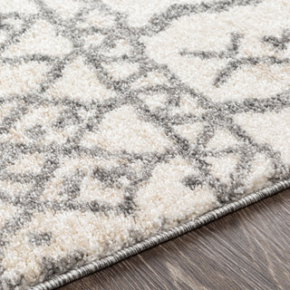 Livabliss Andorra ARD-2303 Area Rug