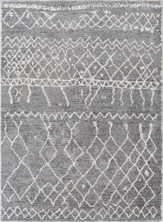 Livabliss Andorra ARD-2304 Area Rug