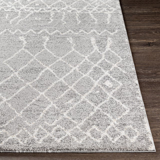 Livabliss Andorra ARD-2304 Area Rug