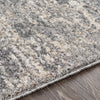 Livabliss Andorra ARD-2306 Area Rug