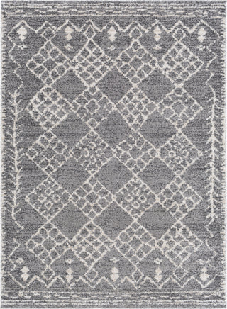 Livabliss Andorra ARD-2308 Area Rug