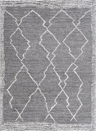 Livabliss Andorra ARD-2309 Area Rug